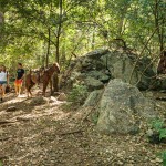Majahua Palms Activities