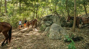 Majahua Palms Activities