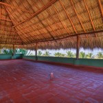 Majahua Palms Yoga