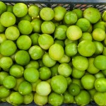 Fresh Fruit Troncones