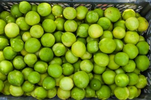 Fresh Fruit Troncones